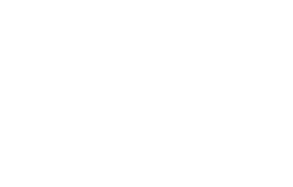ISA logo white