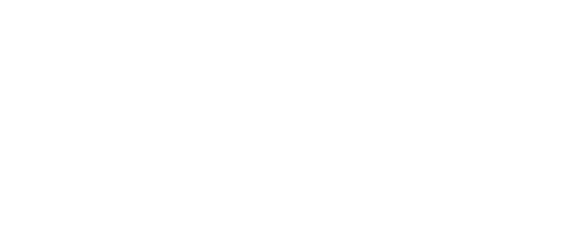 Technion Logo Eng Hor White